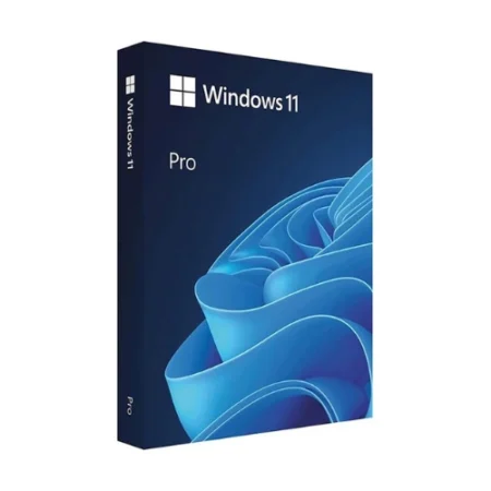 Microsoft Windows 11 Professional